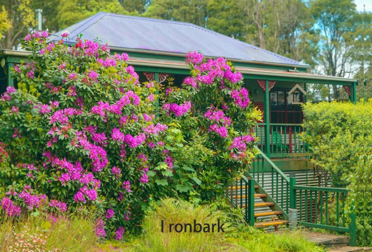Observatory Cottages Mount Dandenong Exteriér fotografie