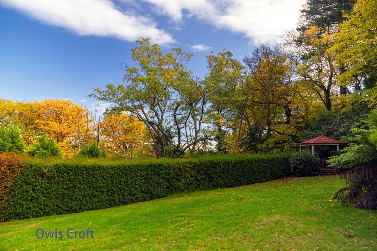 Observatory Cottages Mount Dandenong Exteriér fotografie