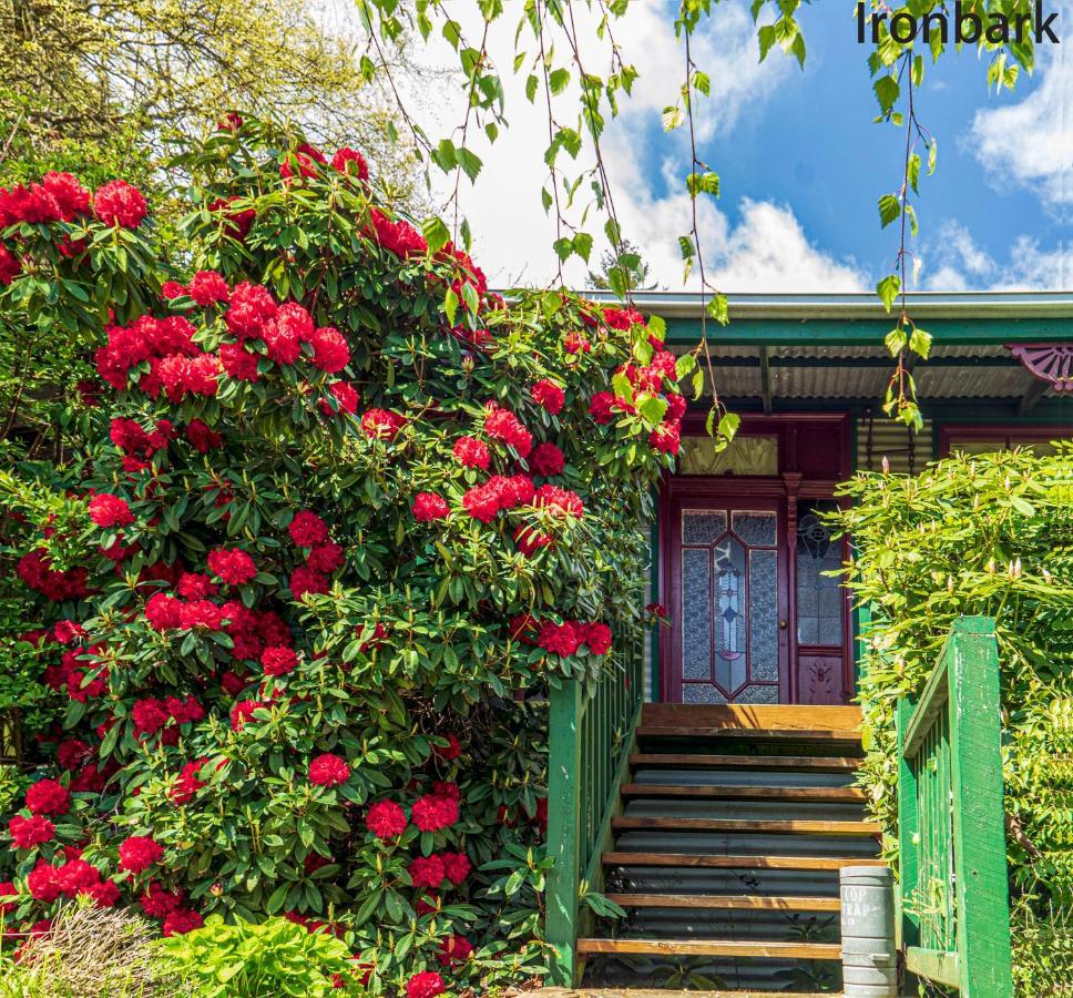 Observatory Cottages Mount Dandenong Exteriér fotografie