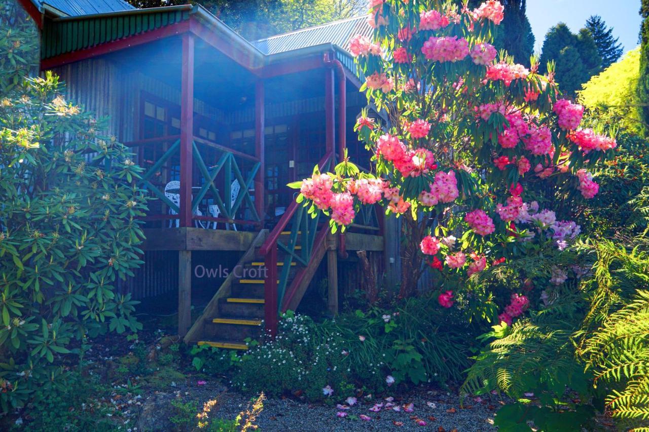 Observatory Cottages Mount Dandenong Exteriér fotografie