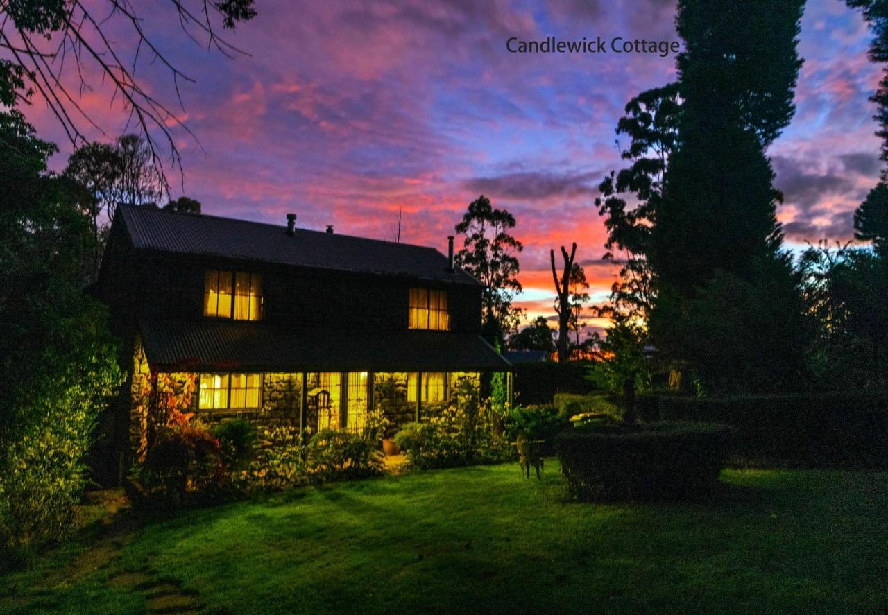 Observatory Cottages Mount Dandenong Exteriér fotografie