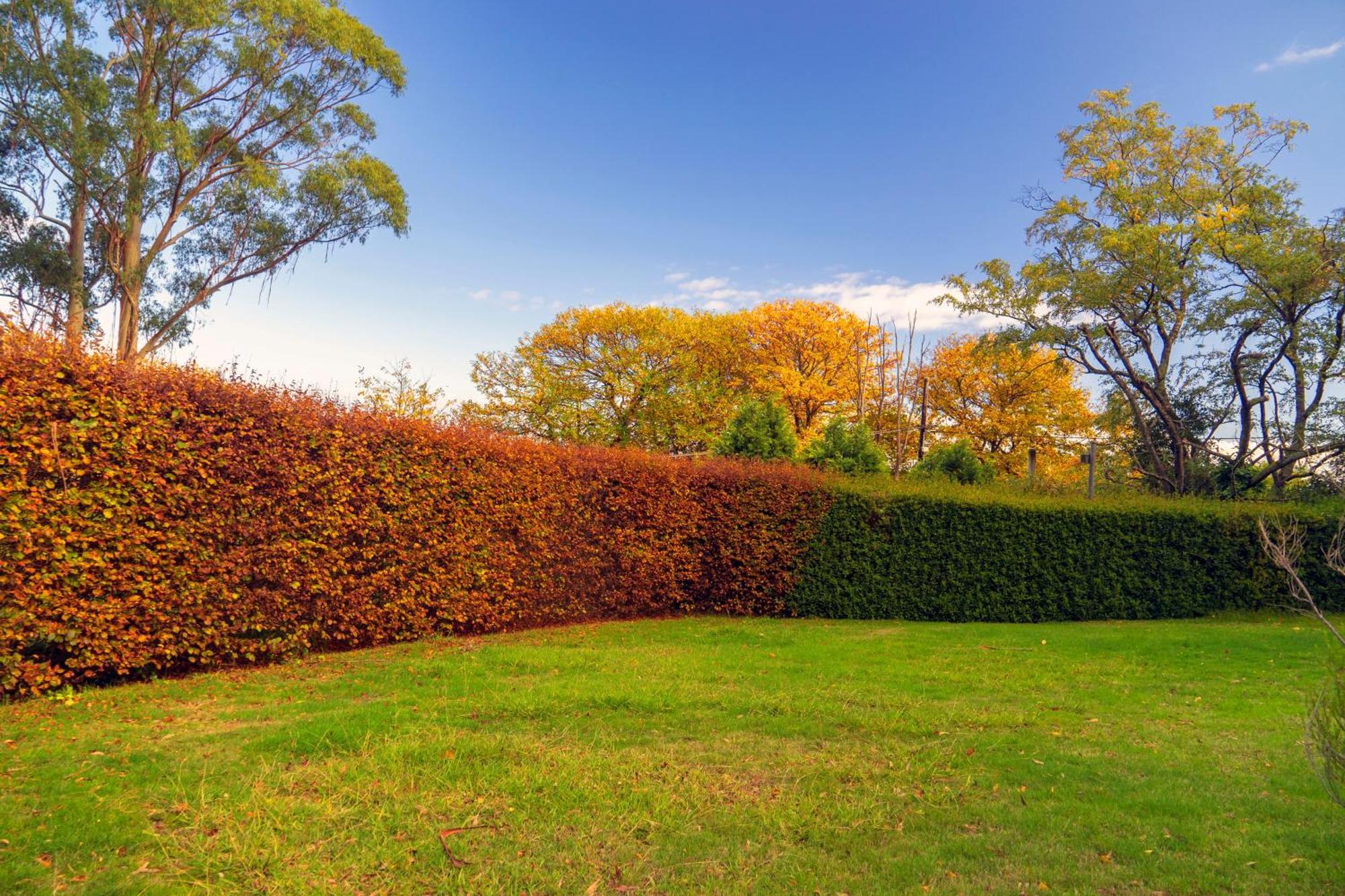 Observatory Cottages Mount Dandenong Exteriér fotografie